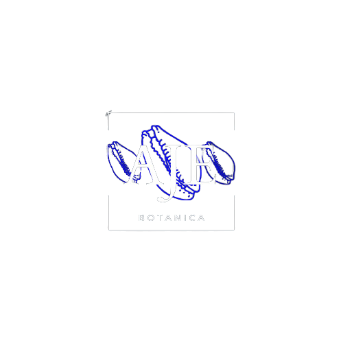 Aje Botanica